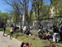 Мешканці з Донецької області під час весняної толоки висаджують кущі троянд.