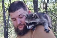 Єнот Моллі на плечі військового