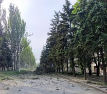Пошкоджені дерева після обстрілу