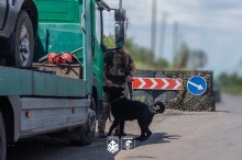 Кінологічна пара 18-ї Слов'янської бригади проводить огляд машини на блокпосту