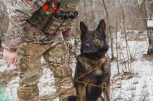 Пес уважно дивитися вперед, стоячі вуха ніби ловлять якийсь звук. Військовий біля нього.