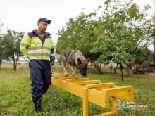 Кінолог тренує свого службового собаку