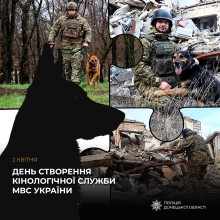 Колаж з чотирьох фотографій. На кожній фотографії службові собаки разом з кинологами виконують службові обов'язки.