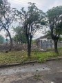 Дерева та одноповерховий будинок, пошкоджений через обстріл окупантів.