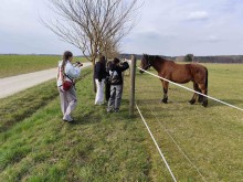 Діти на екскурсії.  Фотографуються та годують коня.