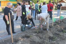 Жителі Бахмута та Полтави висаджують "Мамину клумбу"