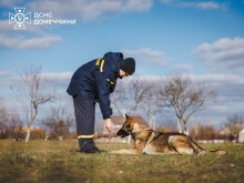 Фахівець ДСНС проводить тренування службового собаки