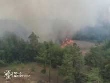 Лісова пожежа в лісах Лиманщини після авіаудару, дим стелиться над деревами в лісі