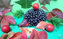 Їжак із насіння, листя та шипшини