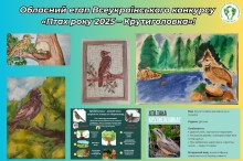 Дитячі малюнки та інформаційні розробки про птаха року - крутиголовку