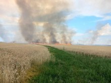 Польова дорога з одного боку, стовби диму на полі з пшеницею та горить вогонь.
