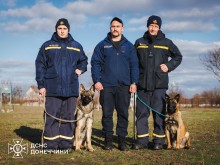 Кінологічна служба Донеччини - три працівники ДСНС  та дві службові собаки