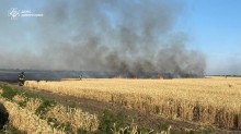 Пшениця Донеччини. Попереду пожежа. Рятувальники гасять вогонь