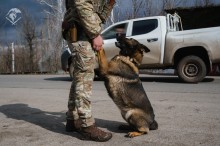 Поліцейський тримає передні лапи службового пса.