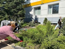 Переселенки з Донеччини беруть участь у весняній толоці: прибирають клумби біля гуманітарного хабу