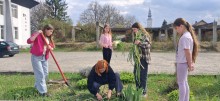 Дівчата саджають квіти.