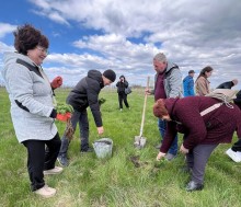 Шахівська громада відроджує степовий заказник Донеччини на Черкащині. Представники громади  висаджують півонію тонколисту.