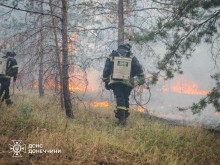 Рятувальникам вдається локалізувати займання лісової підстилки