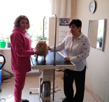 Директорка Донецького обласного центру зайнятості Наталя Адамова відвідала краматорську підприємицю Ладу Богомолову