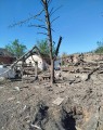 Зруйноване подвір'я після обстрілу та пошкоджені дерева.
