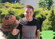 Робота учасника фотоквесту