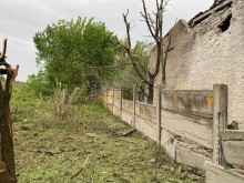 Пошкоджені дерева та адміністративна будівля через обстріл окупантів.