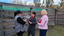 Наталія Адамова та співробітники КН "Благоустрій"
