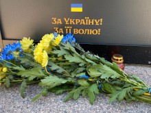Квіти на Алеї Слави