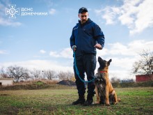 Фахівець ДСНС проводить тренування службового собаки