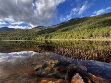 Конкурсна робота, на якій зображений пейзаж: водойма на фоні хвойного лісу