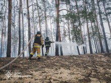 Лиманщина: рятувальники локалізують масштабну лісову пожежу, спричинену авіаударом