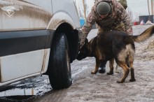 Пес разом з військовим оглядають автомобіль.