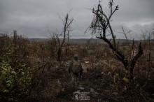 Знищена лісова смуга. Біля понівечених дерев стоїть військовий.