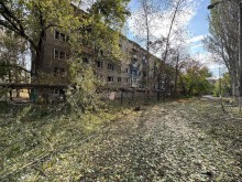 Пошкоджені дерева та багатоповерховий будинок без вікон