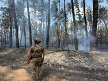 Військовий стоїть на фоні лісу, який погасили рятувальники.