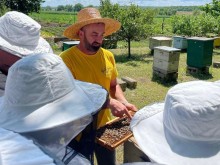 Екскурсія пасікою