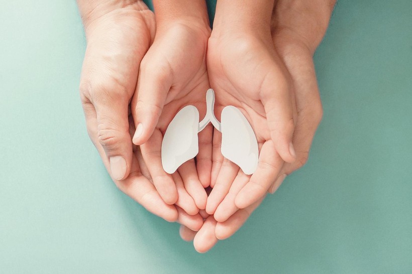 Доросла та дитяча руки разом тримають паперовий силует легень на бірюзовому фоні