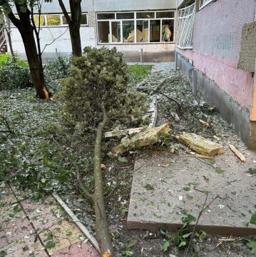 Поламане дерево лежить на землі після ворожого обстрілу