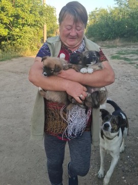Жінка похилого віку тримає трьох цуценят, поруч біжить доросла собака