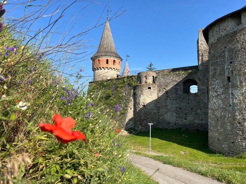 Конкурсна робота, на якій зображено фортецю на фоні квітів