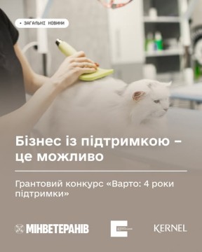 Лікар робить УЗД-дослідження білому коту