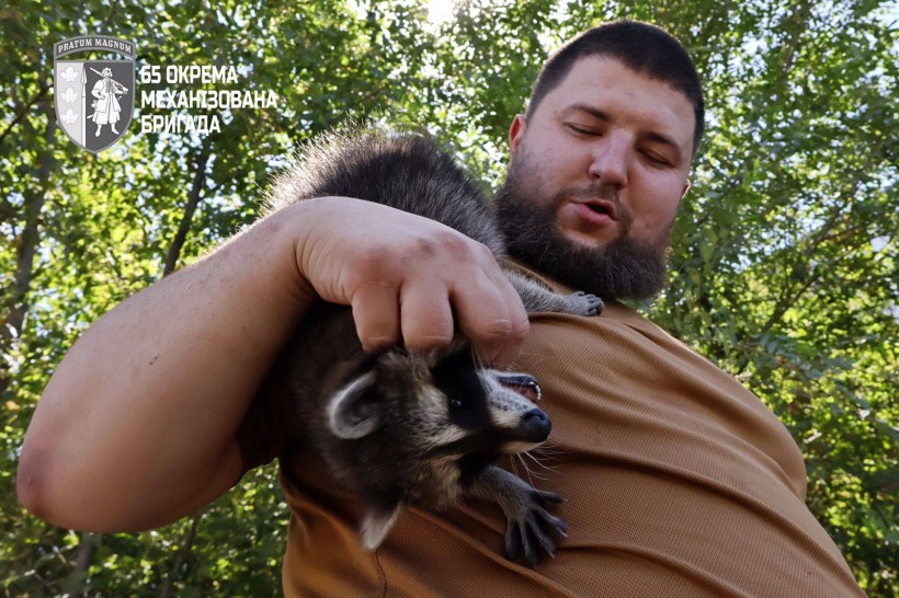 Єнот Моллі на плечі військового
