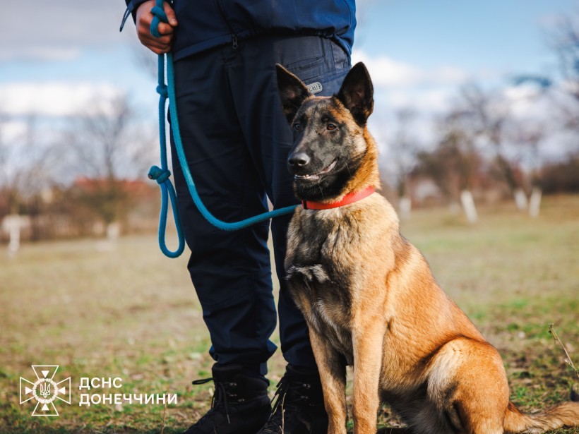 Службовий пес на повідку поруч з ногами фахівця ДСНС
