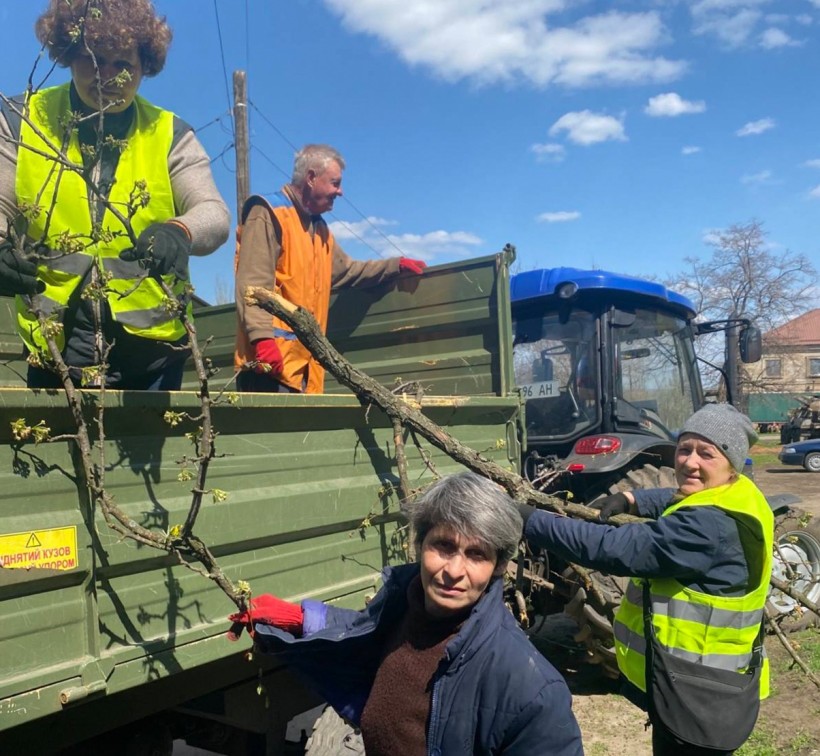Люди вантажать в кузов обрізані дерева