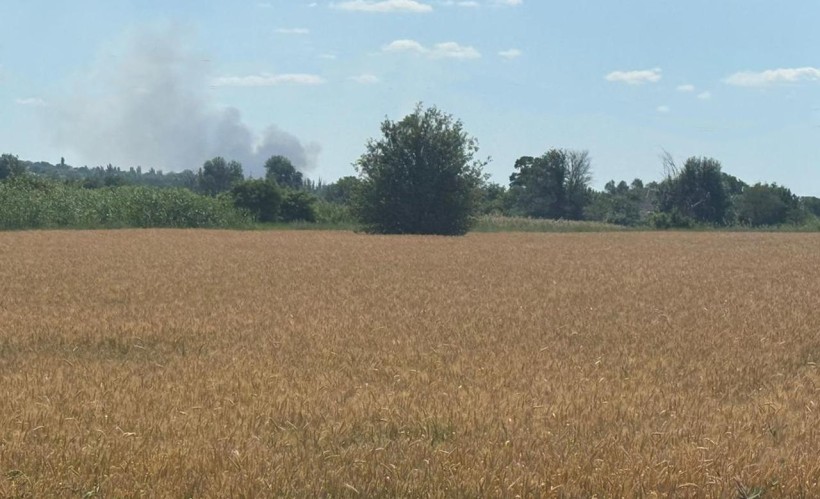 Аграрії Донеччини розпочали жнива.