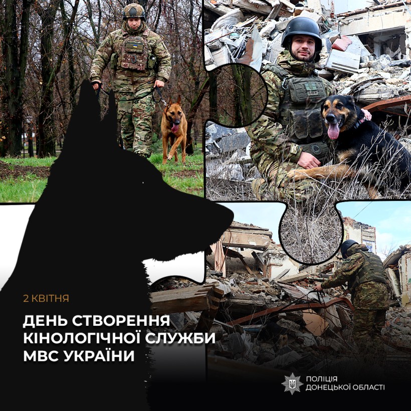 Колаж з чотирьох фотографій. На кожній фотографії службові собаки разом з кинологами виконують службові обов'язки.