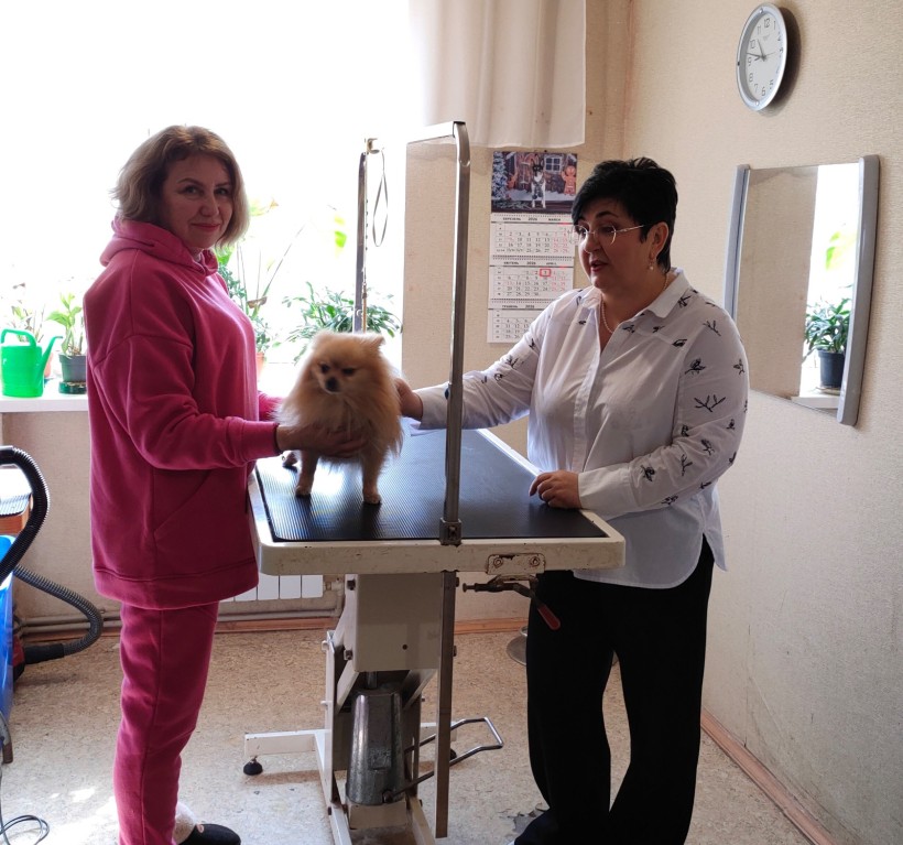 Директорка Донецького обласного центру зайнятості Наталя Адамова відвідала краматорську підприємицю Ладу Богомолову