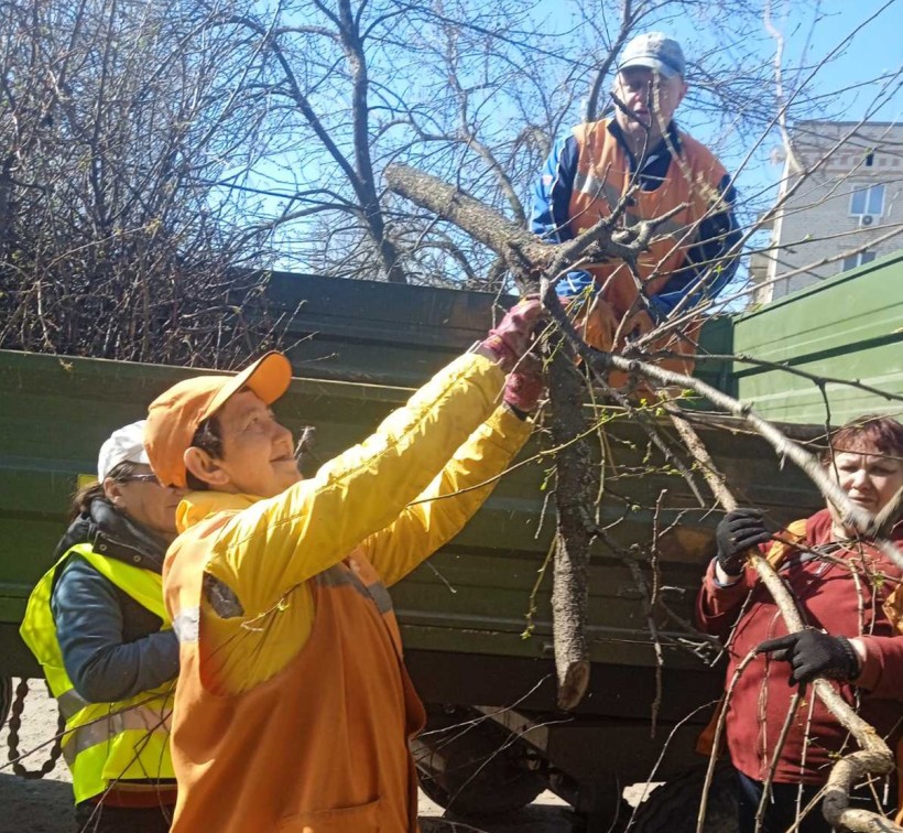 Люди обрізають дерева