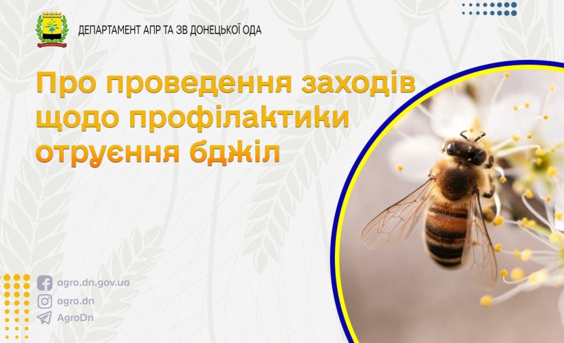 Бджола сидить на жовтій квітці