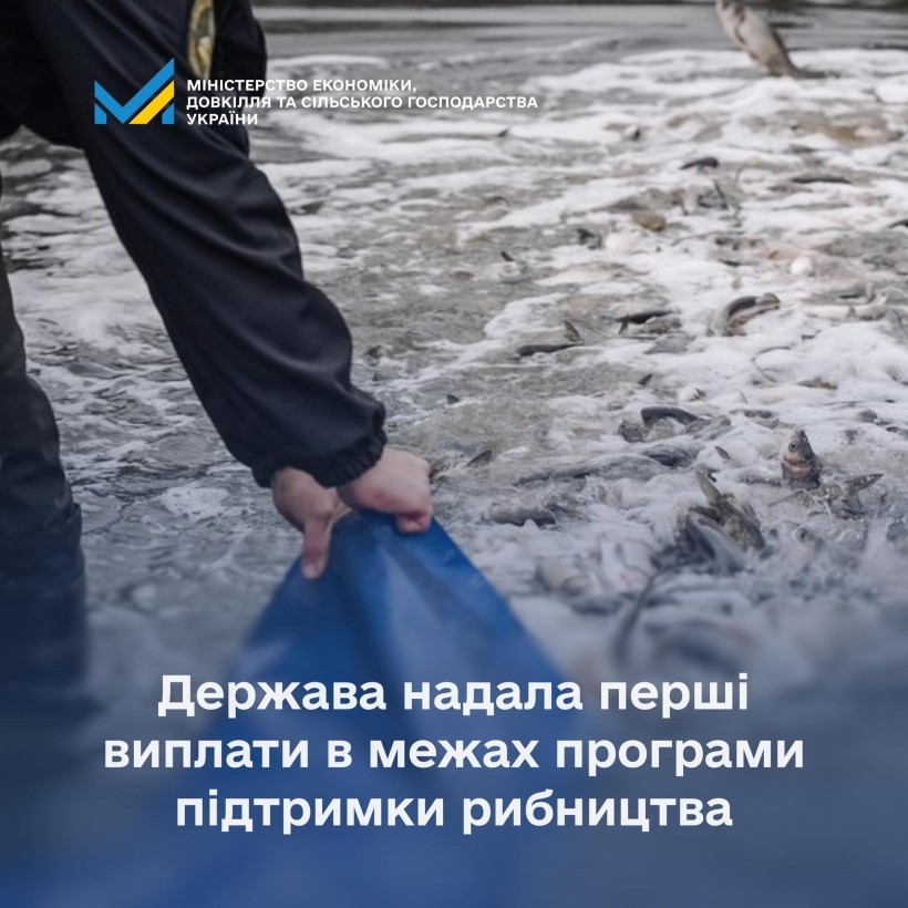 Чоловік зариблює мальками водойму